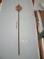 藏品(木槳)的圖片